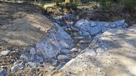 Gozdna cesta Žirovnikov križ Kadižev mlin slike 24. 3. 2025 (6)